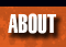 Learn About Alpha Bronco