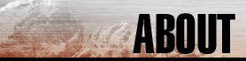 About Alpha Bronco 